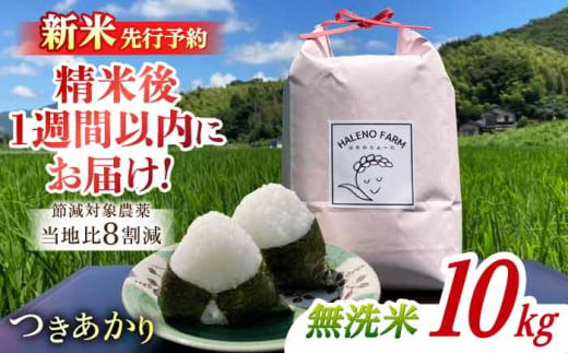 【新米先行予約】こだわり希少米 つきあかり 10kg 無洗米 残留農薬不検出 島根県松江市/HALENO FARM [ALDR005]