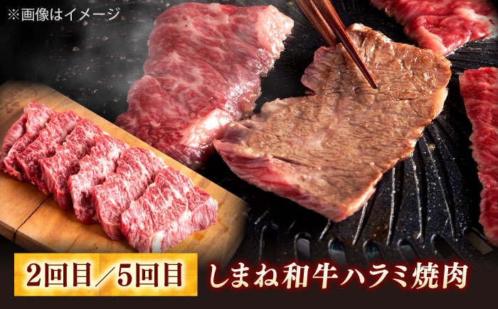 【全6回定期便】又鬼の焼肉酒場こだわりセット！（しゃぶしゃぶ/すき焼き・ハラミ・牛タン）計3.2kg　島根県松江市/株式会社O.R.C [ALEF013]