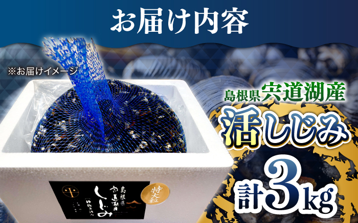 新鮮採れたて！宍道湖産活大和しじみ特大粒3kg(砂はき済み) 島根県松江市/平野缶詰有限会社 [ALBZ024]