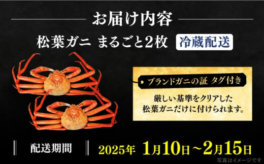 【期間限定・先行予約】冬の味覚の代表格！松葉ガニ 2枚 島根県松江市/フジキコーポレーション株式会社 [ALDS018]