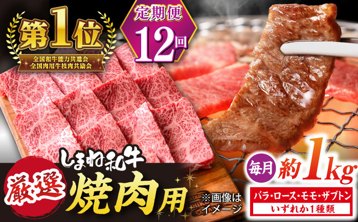 【全12回定期便】極上厳選！受賞歴多数 しまね和牛 焼肉 計12.0kg 島根県松江市/株式会社O.R.C [ALEF088]