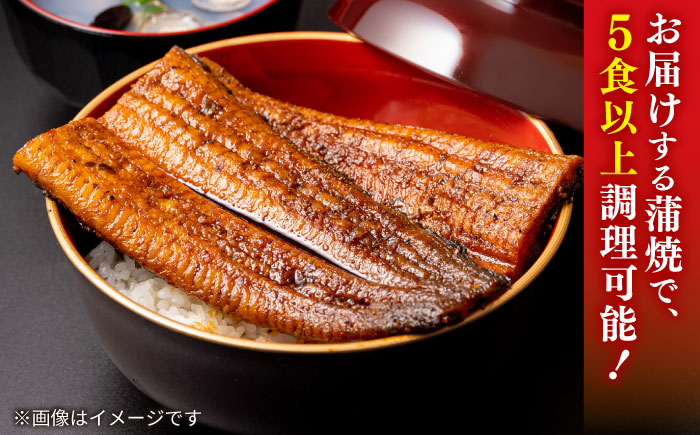 【6回定期便】うなぎ老舗専門店のパリっとふっくら国産うなぎ 蒲焼2尾(蒲焼のタレ付き) 島根県松江市/株式会社山美世商会 [ALDC014]