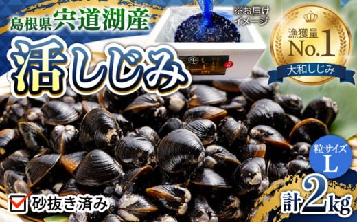 新鮮採れたて！宍道湖産活大和しじみ大粒(L)2kg(砂はき済み) 島根県松江市/平野缶詰有限会社 [ALBZ016]