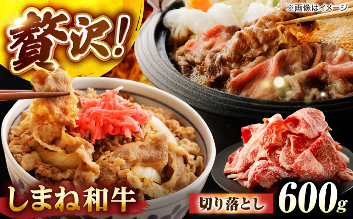 しまね和牛切り落とし 600g 島根県松江市/株式会社さんれいフーズ [ALFR007]