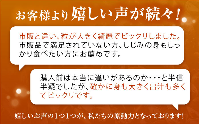 産地直送！宍道湖産 冷凍大和しじみLサイズ4kg(500g×8) 砂抜き処理済 島根県松江市/りすたむmatsue [ALDE004]