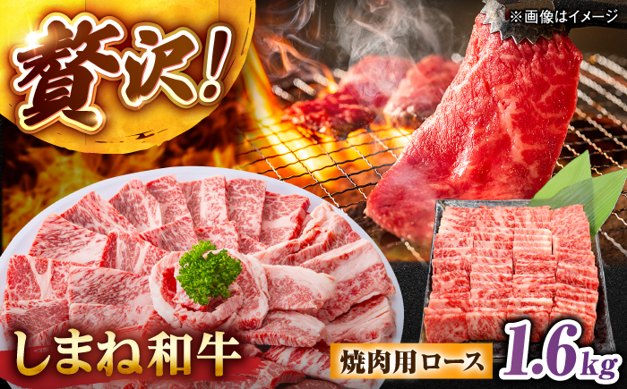 しまね和牛ロース 1.6kg(400g×4パック) 焼肉用 島根県松江市/株式会社さんれいフーズ [ALFR011]
