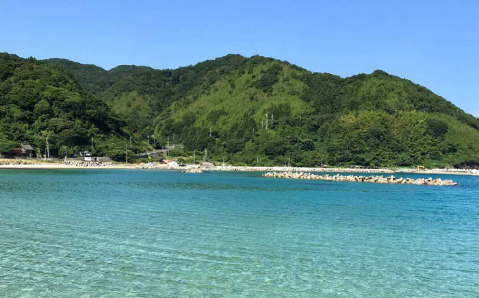 松江で海中散歩♪初心者でも安心の体験ダイビングプラン 島根県松江市/合同会社LOCOBLUE [ALFE001]