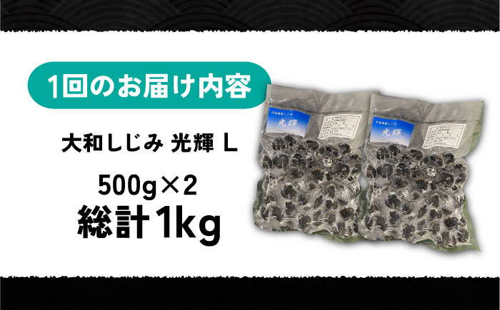 【全6回定期便】産地直送！宍道湖産 冷凍大和しじみLサイズ1kg(500g×2) 砂抜き処理済 島根県松江市/りすたむmatsue [ALDE023]