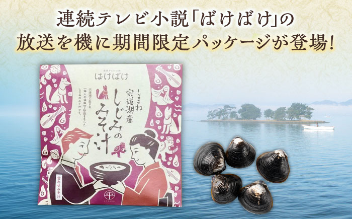 毎日食べたい！宍道湖産大和しじみの即席しじみ汁(合わせ味噌)46g×20袋〜連続テレビ小説「ばけばけ」ロゴライセンス商品〜  島根県松江市/平野缶詰有限会社 [ALBZ045]