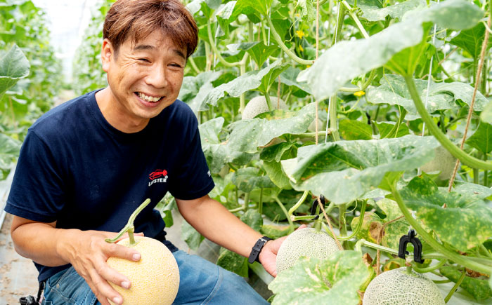 【先行予約】ご縁玉 ゴールデンパールメロン1.3kg×1玉 島根県松江市/有限会社安藤農園 [ALID010]