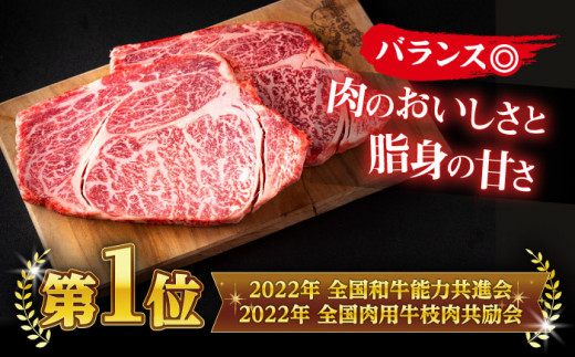 極上厳選！受賞歴多数 しまね和牛 ステーキ(500g) 島根県松江市/株式会社O.R.C [ALEF010]