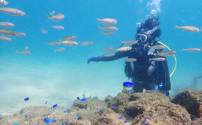 松江で海中散歩♪初心者でも安心の体験ダイビングプラン 島根県松江市/合同会社LOCOBLUE [ALFE001]