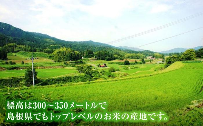島根県産「比田米きぬむすめ（広瀬町）」20kg(5kg×4) 島根県松江市/有限会社藤本米穀店 [ALCG020]