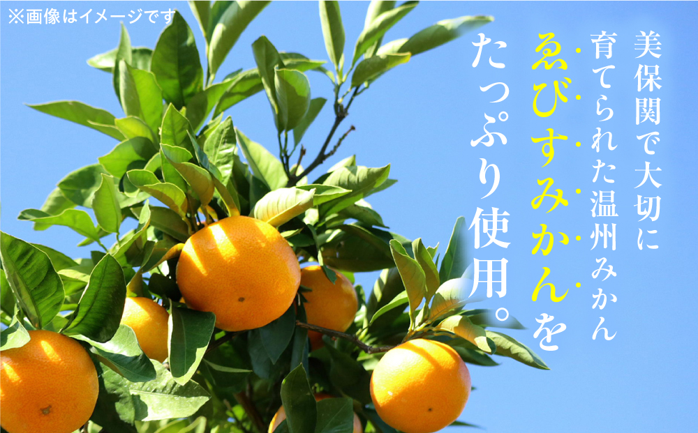 ゑびすみかん甘酒 島根半島・美保関 200g×5個 冷凍 スイーツ 麹 松江市産みかん 島根県松江市/ミホツ姫命稲穂の会 [ALET002]