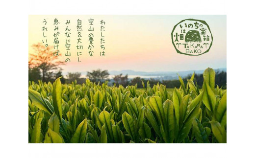 宝箱の有機和紅茶 島根県松江市/有限会社宝箱 [ALBI004]