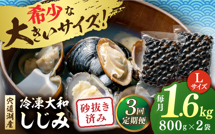 【全3回定期便】宍道湖産 冷凍大和しじみ 砂抜き済 Lサイズ800×2袋(1.6kg) 島根県松江市/しじみ市場株式会社 [ALDK006]