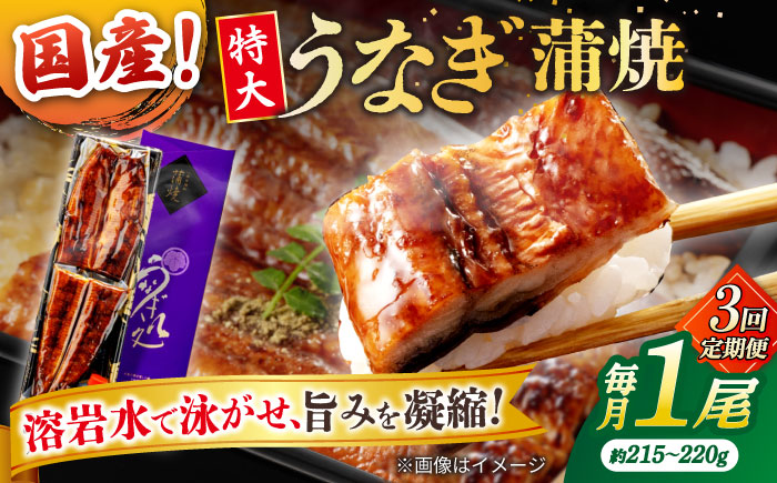 【3回定期便】うなぎ老舗専門店のパリっとふっくら国産うなぎ 蒲焼1尾(蒲焼のタレ付き) 島根県松江市/株式会社山美世商会 [ALDC007]