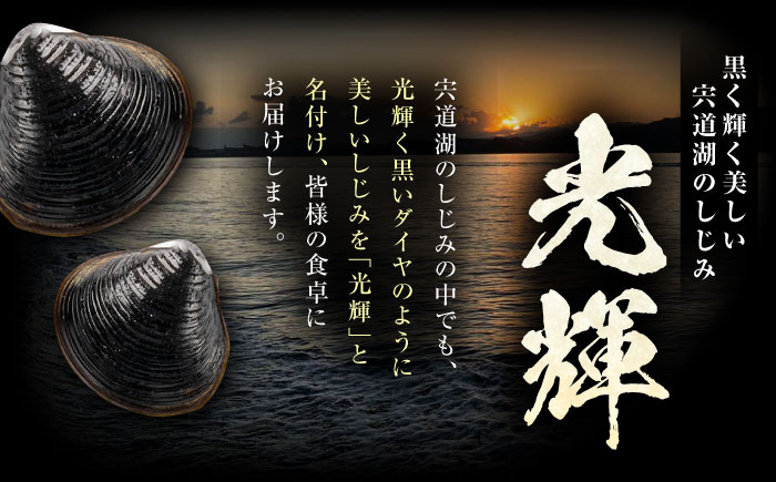 【全6回定期便】産地直送！宍道湖産 冷凍大和しじみMサイズ2kg(500g×4) 砂抜き処理済 島根県松江市/りすたむmatsue [ALDE008]