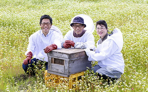 非加熱・非加工の生ハチミツ 季節ごとの蜂蜜 3種 Aセット 島根県松江市/まつえ蜂蜜 [ALCK003]