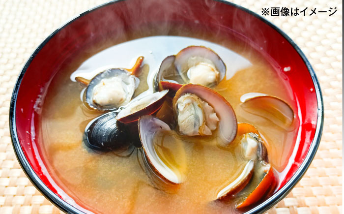 濃厚な旨み！宍道湖産冷凍シジミ3kg　島根県松江市/株式会社山光食品 [ALHZ003]