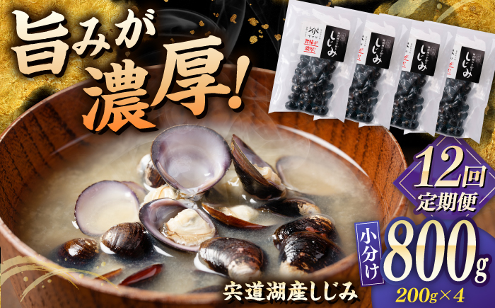 【全12回定期便】宍道湖産 「しじみ」 200g×4 島根県松江市/有限会社ヤマヲ水産 [ALDB023]