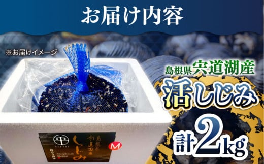 新鮮採れたて！宍道湖産活大和しじみ(M)2kg(砂はき済み) 島根県松江市/平野缶詰有限会社 [ALBZ015]