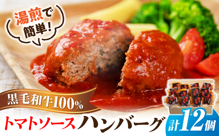 黒毛和牛100％トマトソースハンバーグ　計12個 島根県松江市/株式会社MJビーフ　 [ALIO003]
