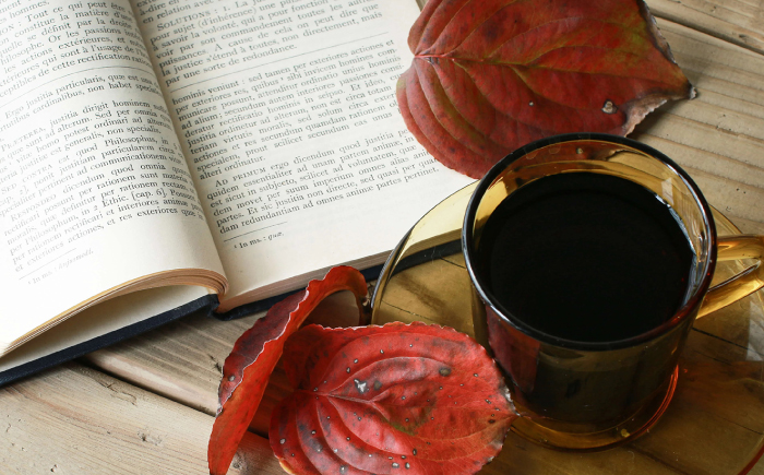 【全12回定期便】焙煎したて･新鮮な珈琲豆を毎月お届け200g×2袋 島根県松江市/服部珈琲工房 [ALBY005]