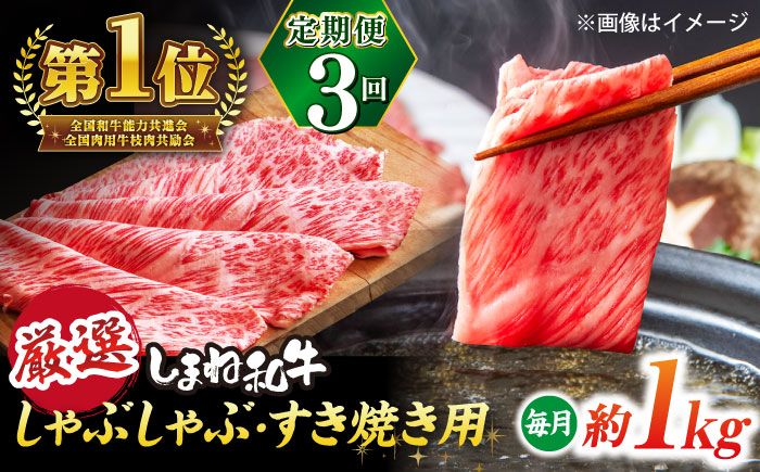 【全3回定期便】極上厳選！受賞歴多数 しまね和牛 しゃぶしゃぶ/すき焼き用 計約3.0kg 島根県松江市/株式会社O.R.C [ALEF106]