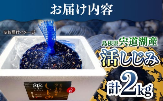 新鮮採れたて！宍道湖産活大和しじみ大粒(L)2kg(砂はき済み) 島根県松江市/平野缶詰有限会社 [ALBZ016]