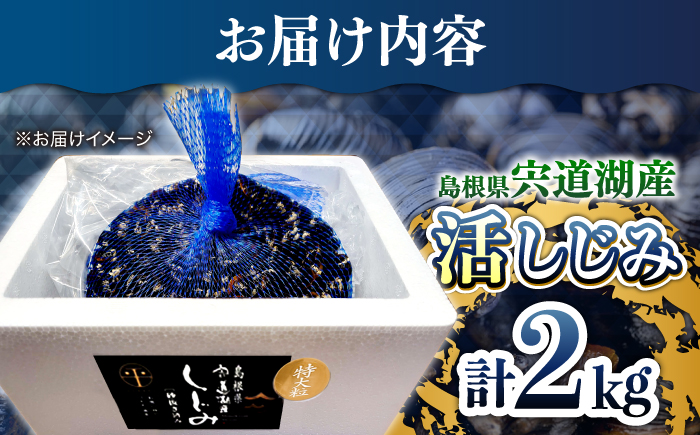 新鮮採れたて！宍道湖産活大和しじみ特大粒 2kg (砂はき済み) 島根県松江市/平野缶詰有限会社 [ALBZ023]