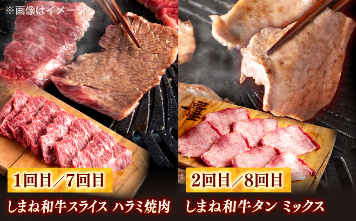 【全12回定期便】叉鬼の焼肉酒場 豪華特別セット！（ハラミ・牛タン・厳選焼肉・スライス・しゃぶしゃぶ/すき焼き・ヒレステーキ）計8.2kg　島根県松江市/株式会社O.R.C [ALEF014]