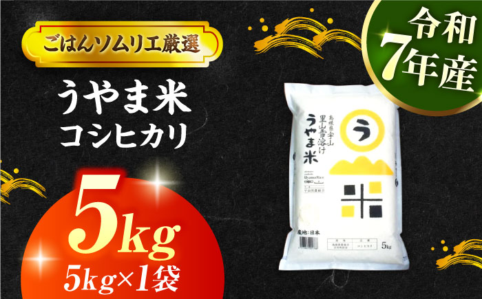 【令和7年産】島根県産「うやま米 コシヒカリ（雲南市吉田町）」5kg（5kg×1）島根県松江市/有限会社藤本米穀店 [ALCG039]