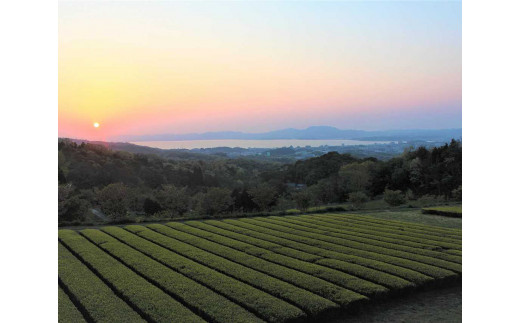 宝箱の有機和紅茶 島根県松江市/有限会社宝箱 [ALBI004]