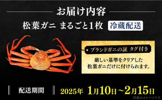 【期間限定・先行予約】冬の味覚の代表格！松葉ガニ 1枚 島根県松江市/フジキコーポレーション株式会社 [ALDS017]