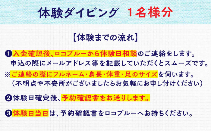 松江で海中散歩♪初心者でも安心の体験ダイビングプラン 島根県松江市/合同会社LOCOBLUE [ALFE001]
