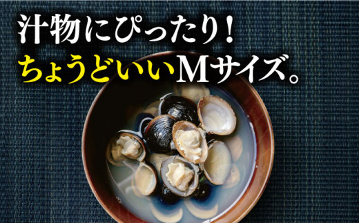 宍道湖産 冷凍大和しじみ 砂抜き済 Mサイズ800g×6袋(4.8kg) 島根県松江市/しじみ市場株式会社 [ALDK001]