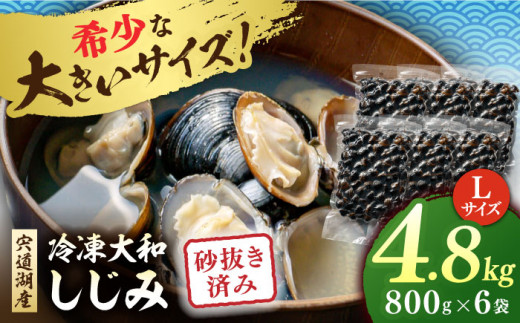 宍道湖産 冷凍大和しじみ 砂抜き済 Lサイズ800g×6袋(4.8kg) 島根県松江市/しじみ市場株式会社 [ALDK003]