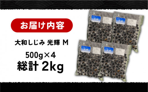 島根県宍道湖産 冷凍大和しじみMサイズ2kg(500g×4)セット(砂抜き処理済) 島根県松江市/りすたむMatsue [ALDE001]