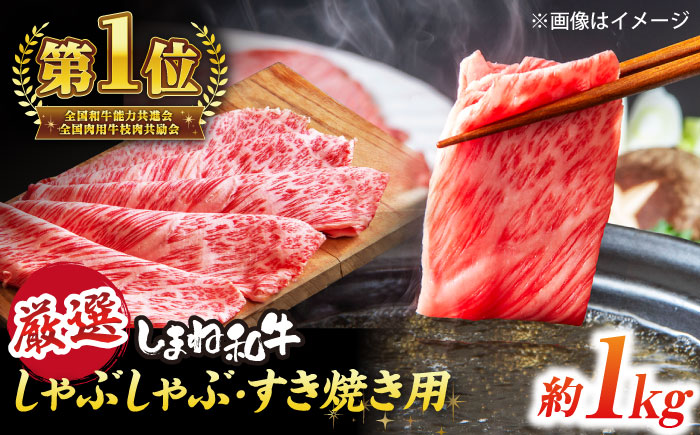 極上厳選！受賞歴多数 しまね和牛 しゃぶしゃぶ/すき焼き用 計約1.0kg（170g×6P） 島根県松江市/株式会社O.R.C [ALEF102]