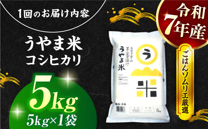 【令和7年産】【3回定期便】島根県産「うやま米 コシヒカリ（雲南市吉田町）」5kg（5kg×1） 島根県松江市/有限会社藤本米穀店 [ALCG060]