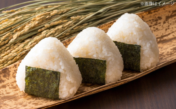 ＜令和8年産 新米 先行予約受付中＞新米食べ比べセット4kg（コシヒカリ/きぬむすめ）【2026年10月以降発送】 島根県松江市/株式会社沼田米穀店 [ALBU024]