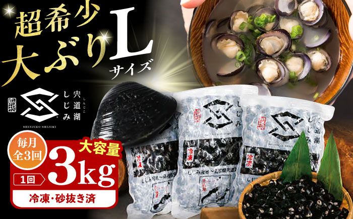 【全3回定期便】地元でも入手困難なレアサイズ！ Lサイズ 宍道湖産ヤマトシジミ(冷凍砂抜き済み)1kg×3袋(3kg) 島根県松江市/宍道湖漁業協同組合 [ALAZ006]