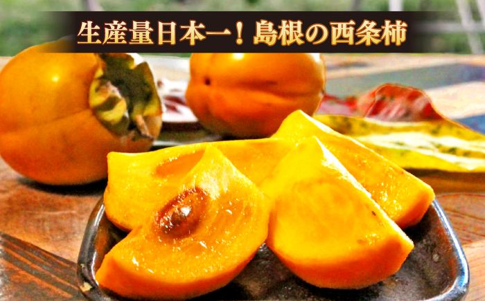 【先行予約】【数量限定】【2026年11月より順次発送】ねっとり濃厚な甘さ！西条柿の干し柿(Mサイズ9個入り) 島根県松江市/須山農園 [ALBD006]