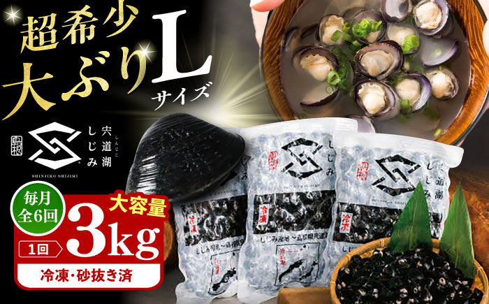 【全6回定期便】地元でも入手困難なレアサイズ！ Lサイズ 宍道湖産ヤマトシジミ(冷凍砂抜き済み)1kg×3袋(3kg) 島根県松江市/宍道湖漁業協同組合 [ALAZ007]