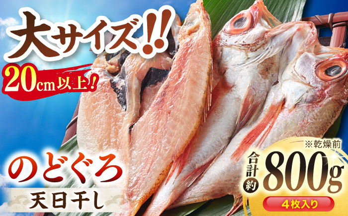 TV放映多数！県内外のファンがわざわざ訪れる 天日ほしもん屋特製 のどぐろ干物×4枚（大サイズ・20cm以上） 島根県松江市/桝谷鮮魚店 [ALCJ002]