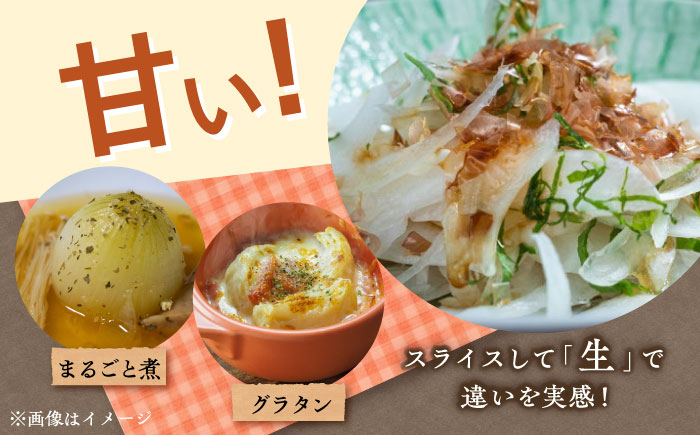 【訳あり】【数量限定30個】【先行予約/2026年6月上旬以降順次発送】美味しまねゴールド認証取得！ 松江市産 春おとずれ新たまねぎ 5kg 島根県松江市/mishiro farm [ALIJ001]