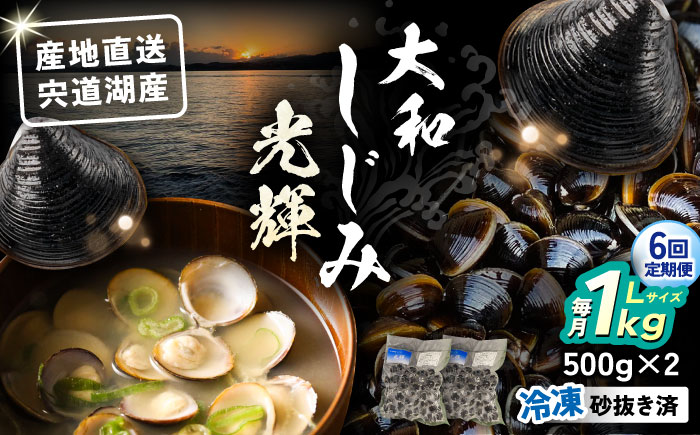 【全6回定期便】産地直送！宍道湖産 冷凍大和しじみLサイズ1kg(500g×2) 砂抜き処理済 島根県松江市/りすたむMatsue [ALDE023]