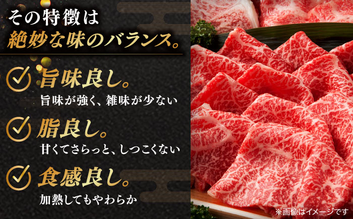 焼肉の常識を覆す！店主渾身の隠れ絶品 しまね和牛タンミックス 計約1.0kg（170g×6P）　焼肉 牛タン 部位おまかせ ミックス 島根県松江市/株式会社O.R.C [ALEF031]