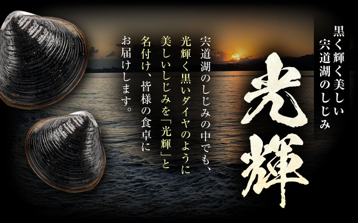 【全3回定期便】産地直送！宍道湖産 冷凍大和しじみLサイズ4kg(500g×8) 砂抜き処理済 島根県松江市/りすたむmatsue [ALDE016]